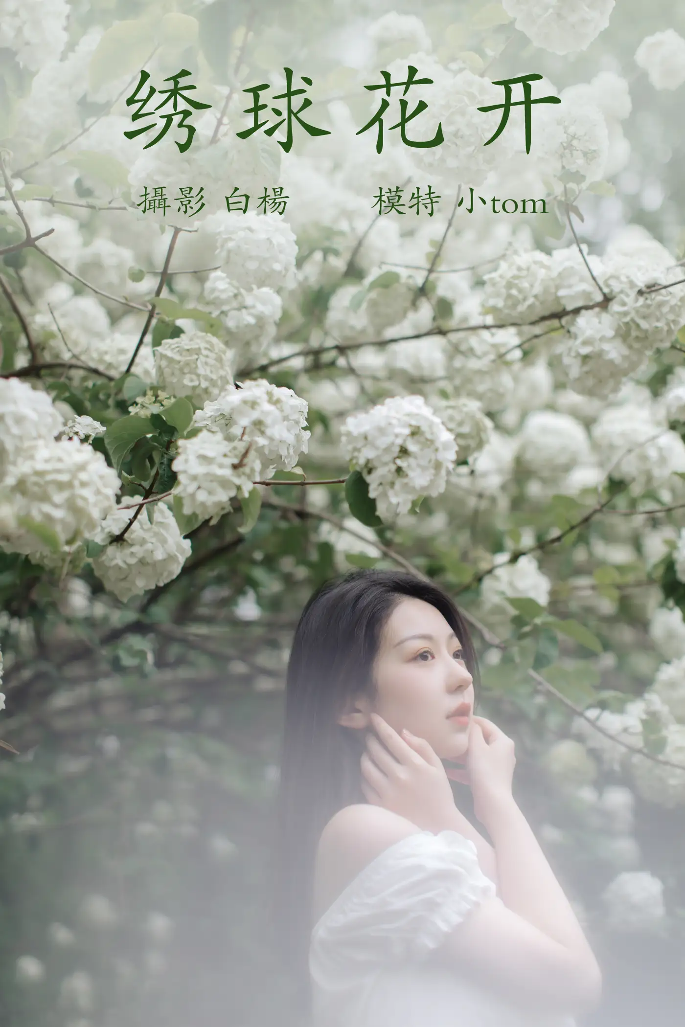 [YITUYU] 2021.12.31 Vol.565 – Hydrangea blooms little tom#[22P]-1